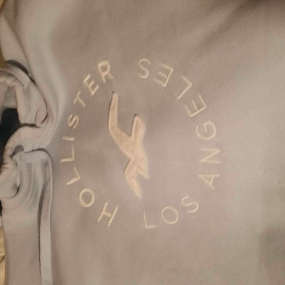 Hollister hoodie jacket.  size S gently used super soft.